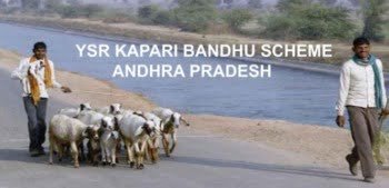 YSR Kapari Bandhu Scheme 2021