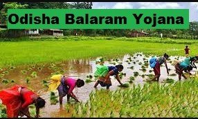 Odisha Balaram Yojana 2021