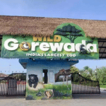 Gorewada Zoo Ticket 2022