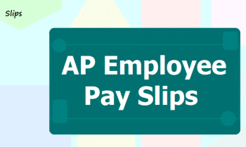 AP Employee Pay Slip 2023