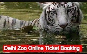 NZP Delhi Zoo Ticket Online Booking 2023 ~ Tickets Price, Timing ...