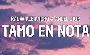 TAMO EN NOTA Lyrics