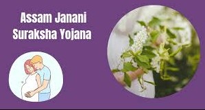 Assam Janani Suraksha Yojana 2024
