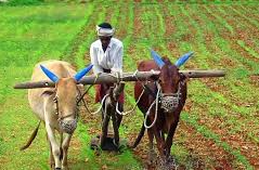 Tamil Nadu Grains Portal 2025