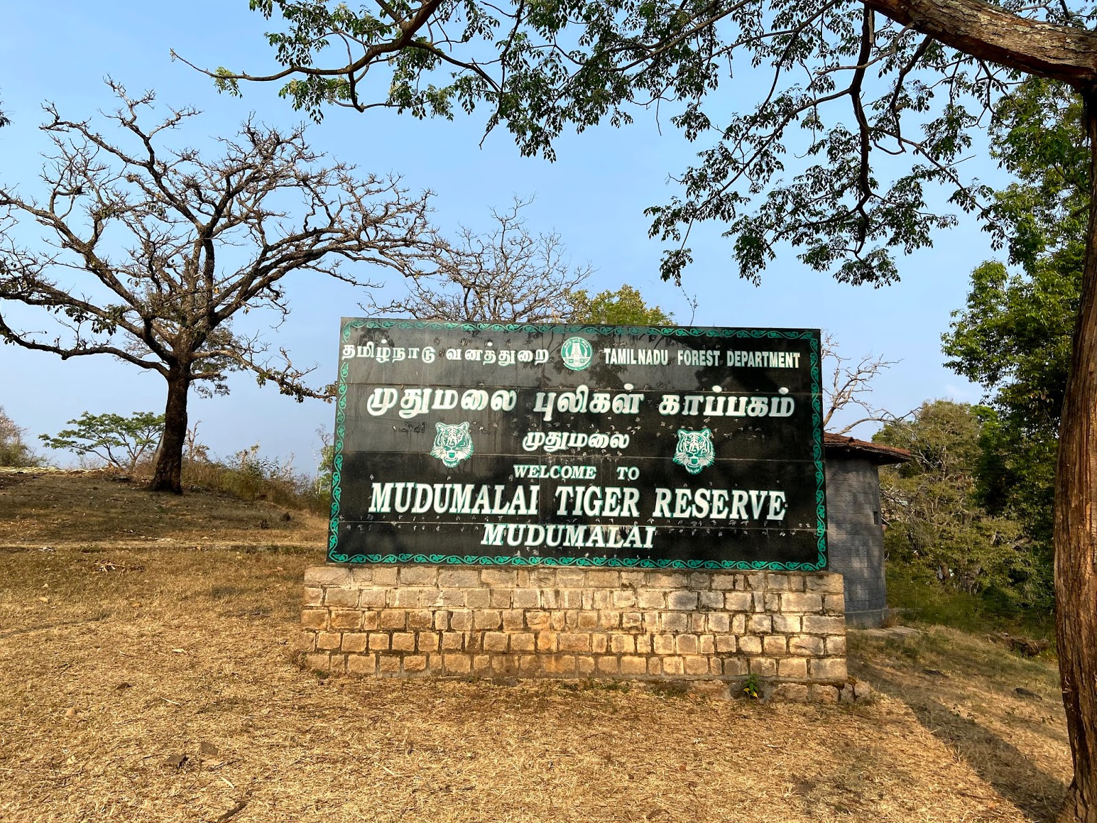 Mudumalai Tiger Reserve