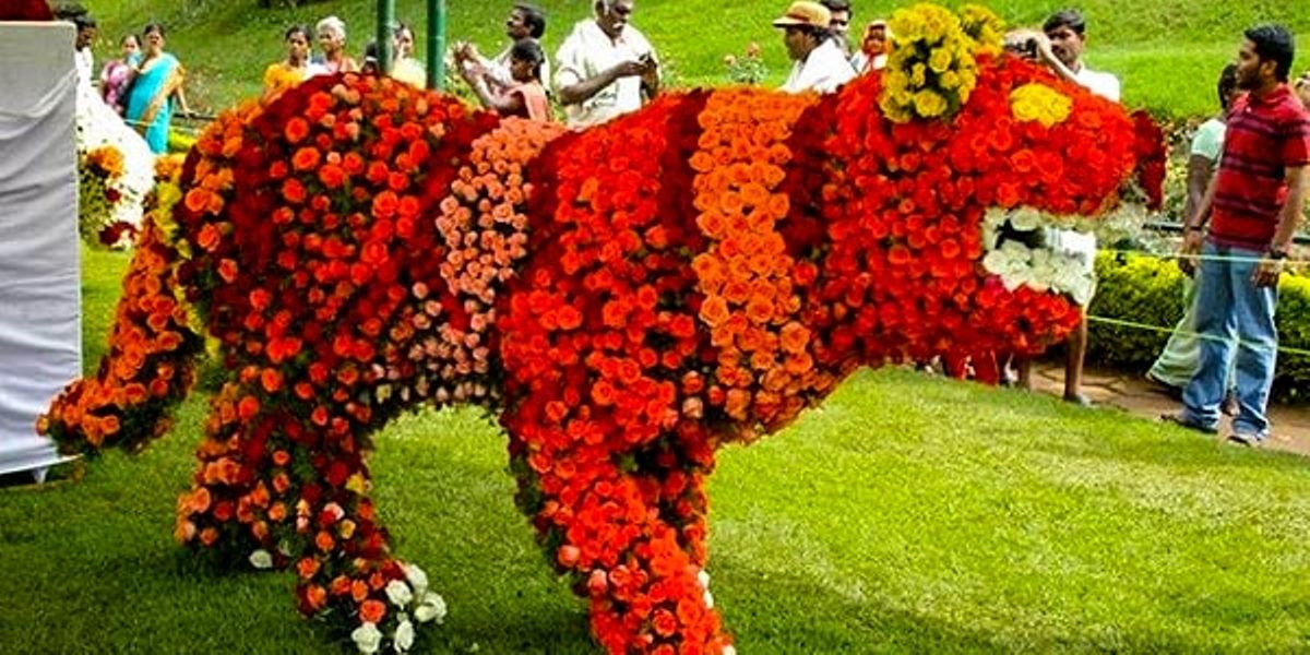 Yelagiri Flower Show 2025